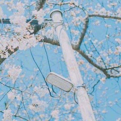 开元体育官网最新版截图